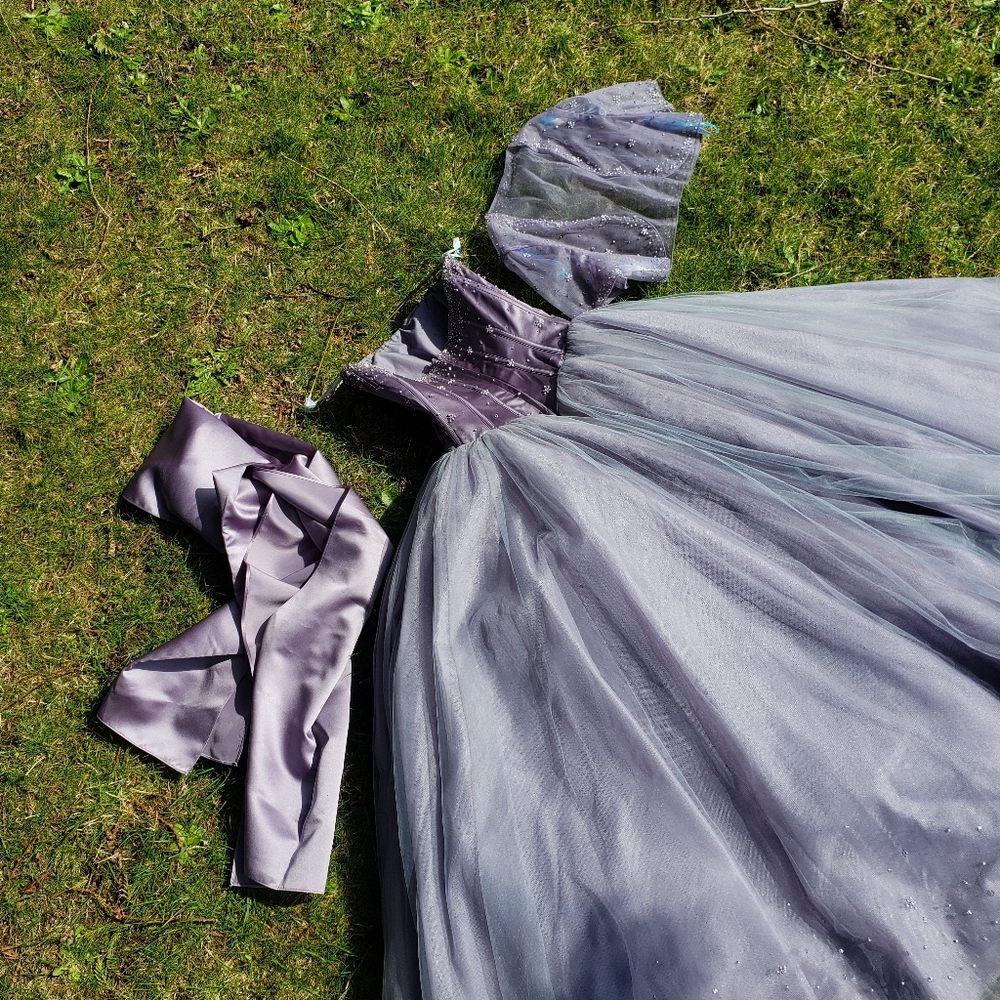 Prom / Grad Dress - Picture 4 of 16